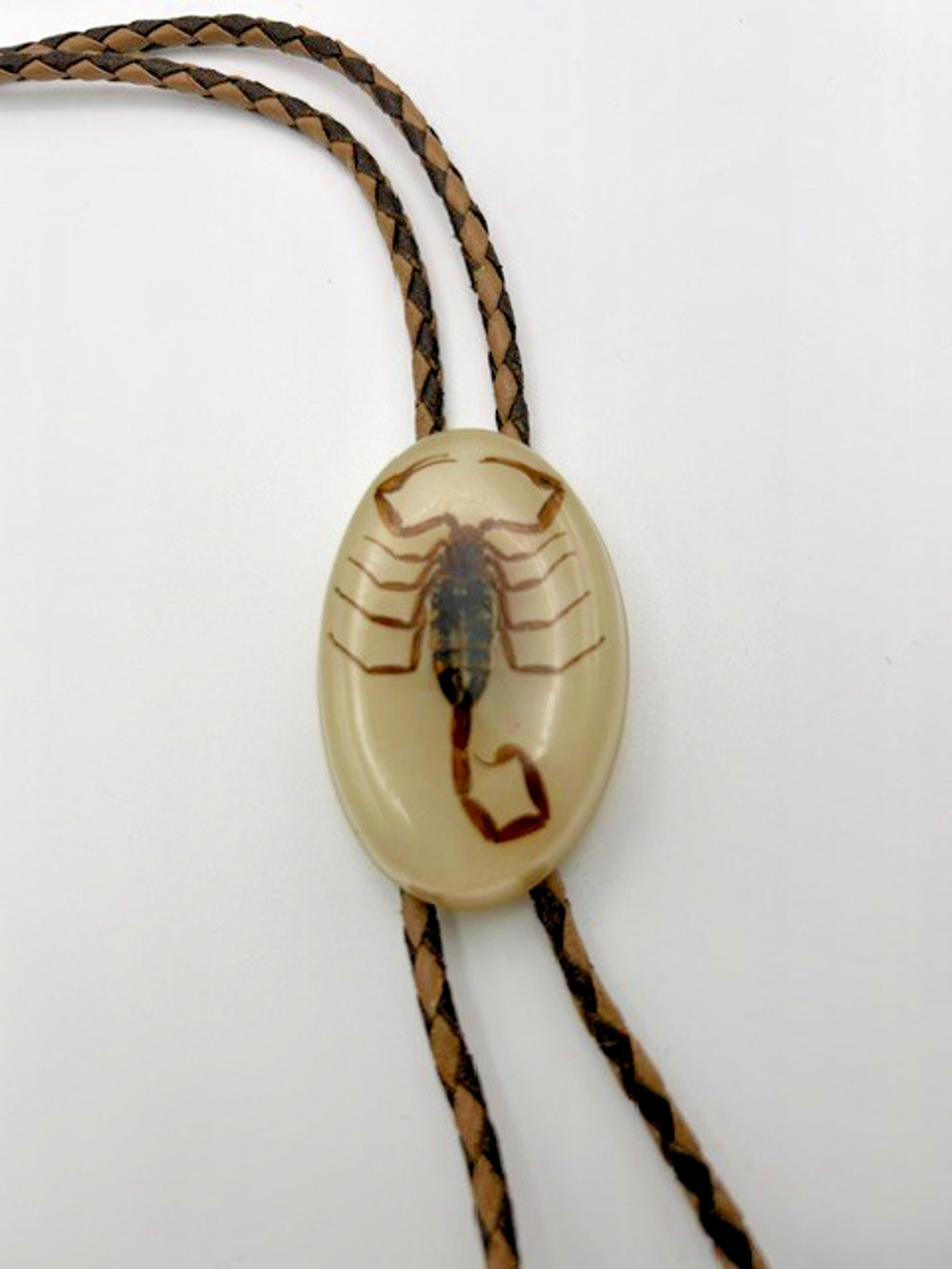 Vintage Scorpion Bolo Tie Real Taxidermy Specimen in Lucite Resin Southwestern